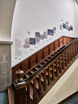 Bach Dolder